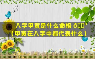 八字甲寅是什么命格 🌳 （甲寅在八字中都代表什么）
